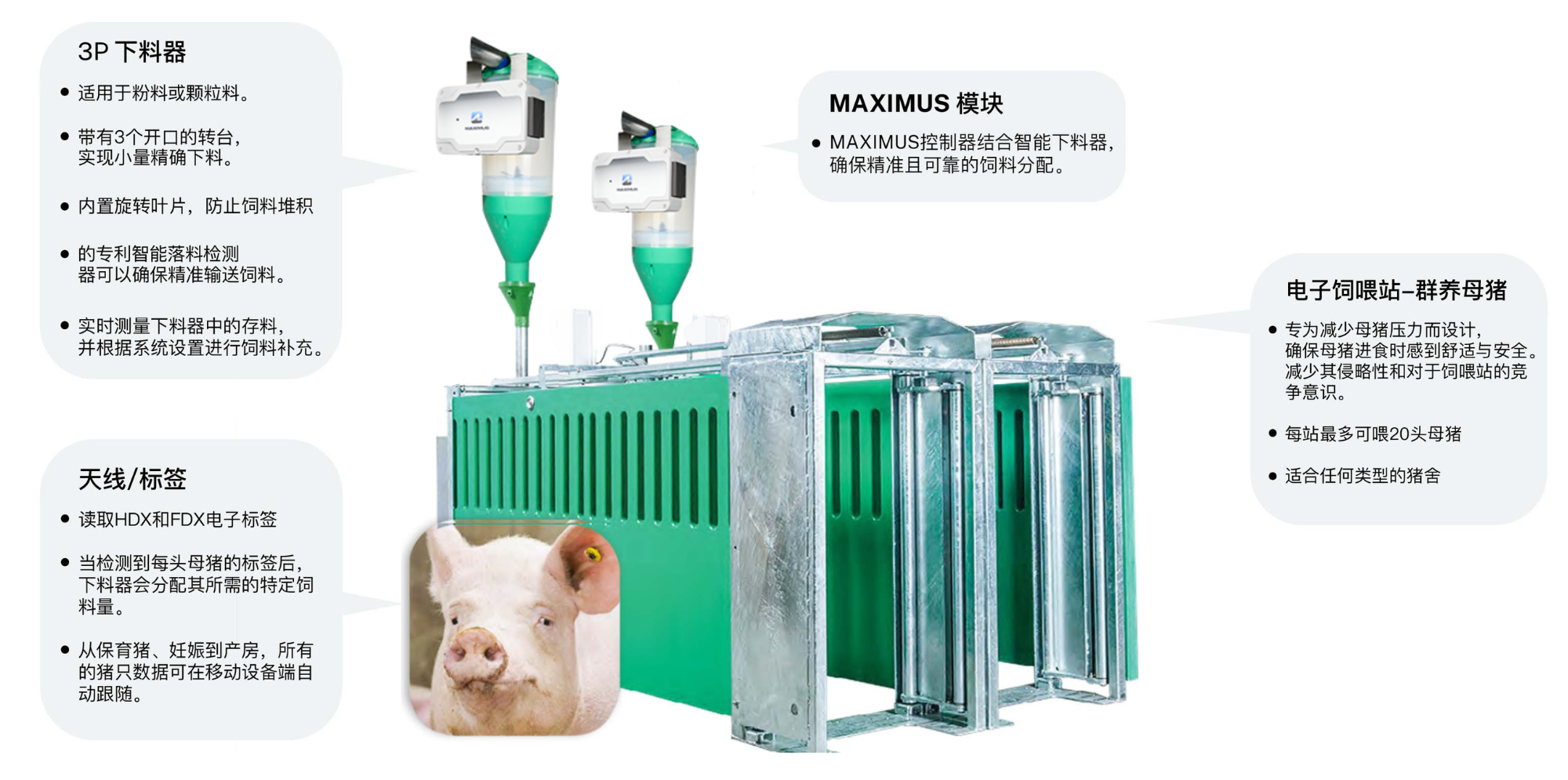swine management system maximus esf station zh.png